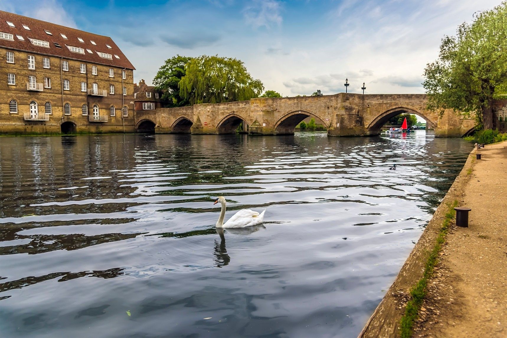 Swan swims on water in front of an arched stone bridge and a brick building under a cloudy sky.