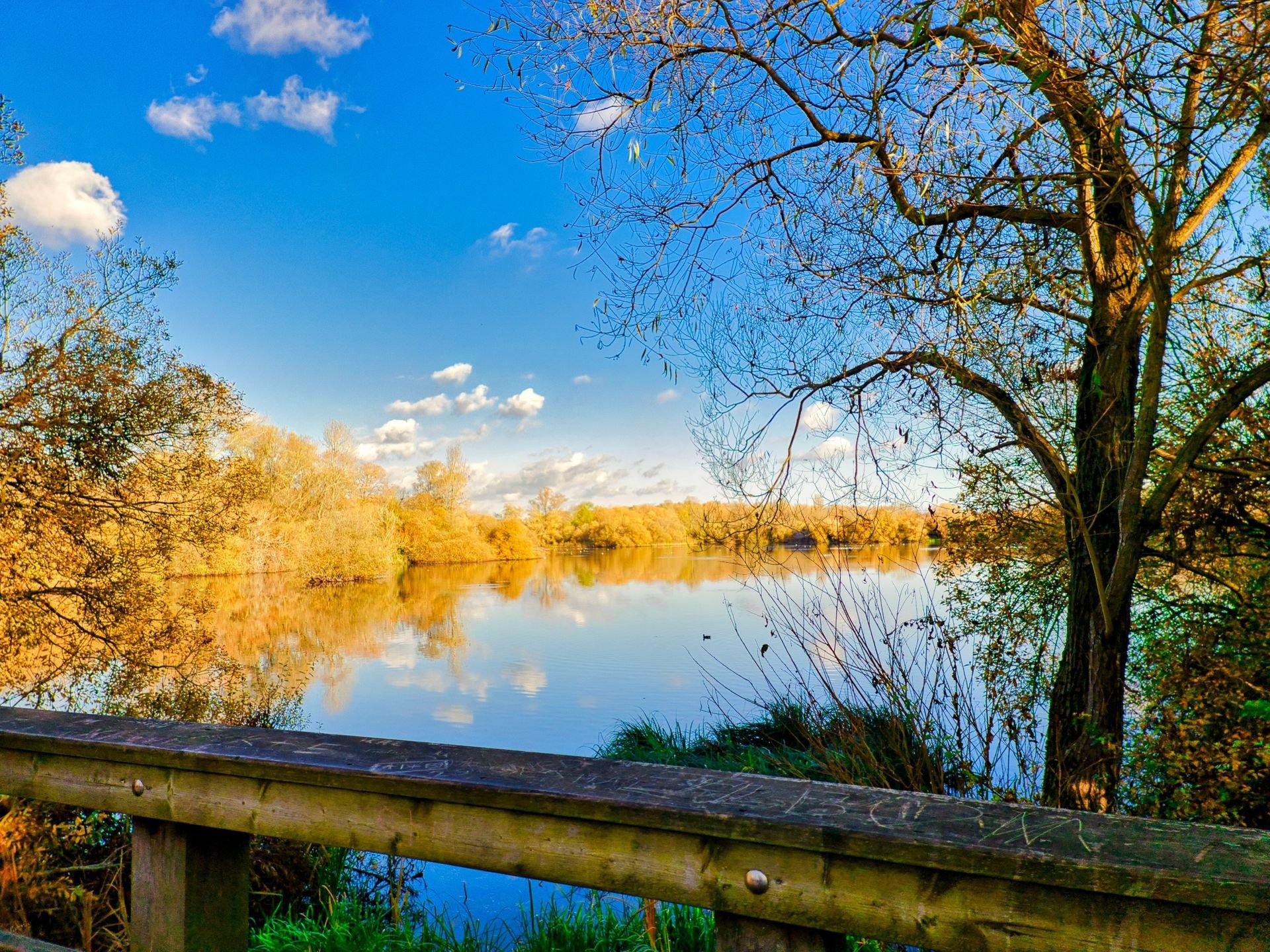 A serene lake scene under a bright blue sky with scattered clouds. Golden-hued trees frame the water.