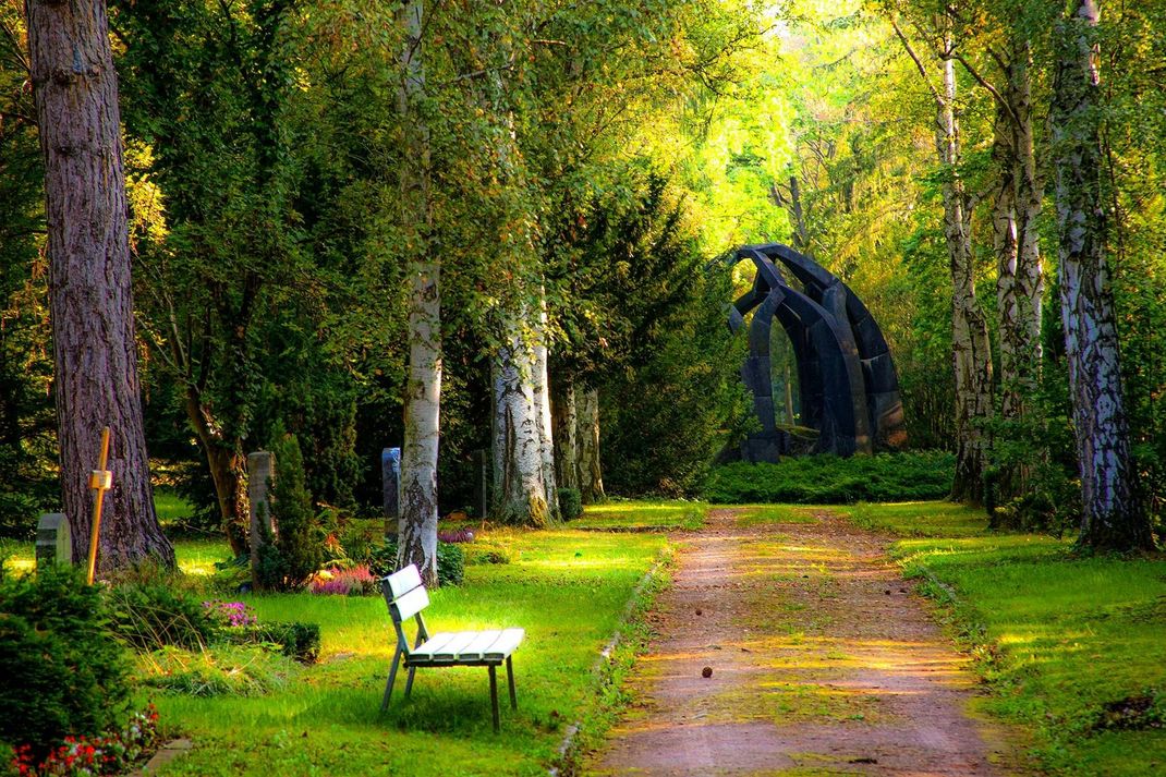 Path through a green forest with a bench, leading to a dark sculpture. Sunlight filters through the trees.