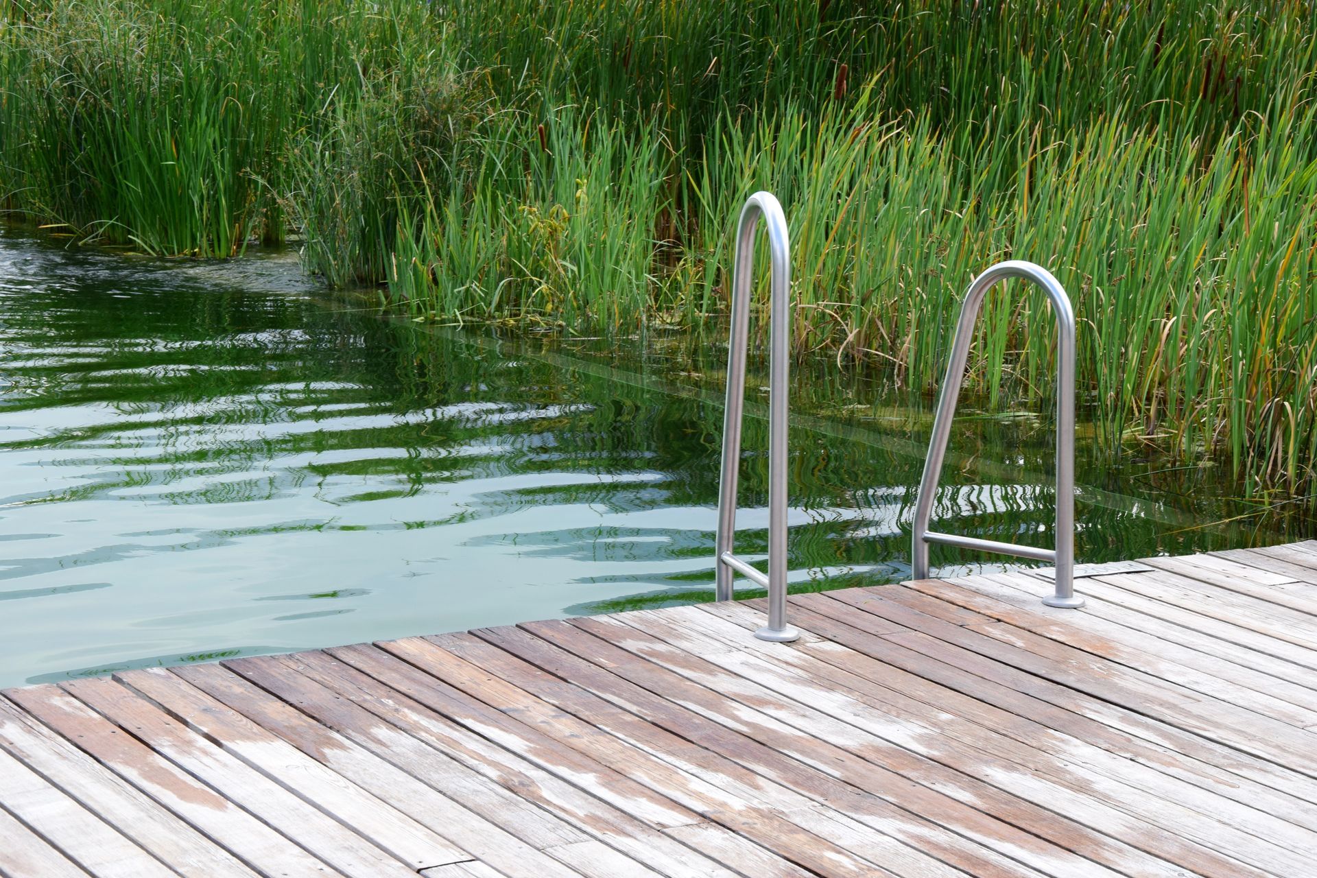 Naturpools