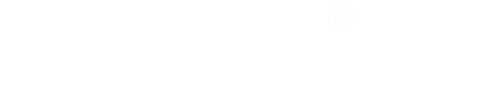 Thin horizontal light blue bar centered on a white background