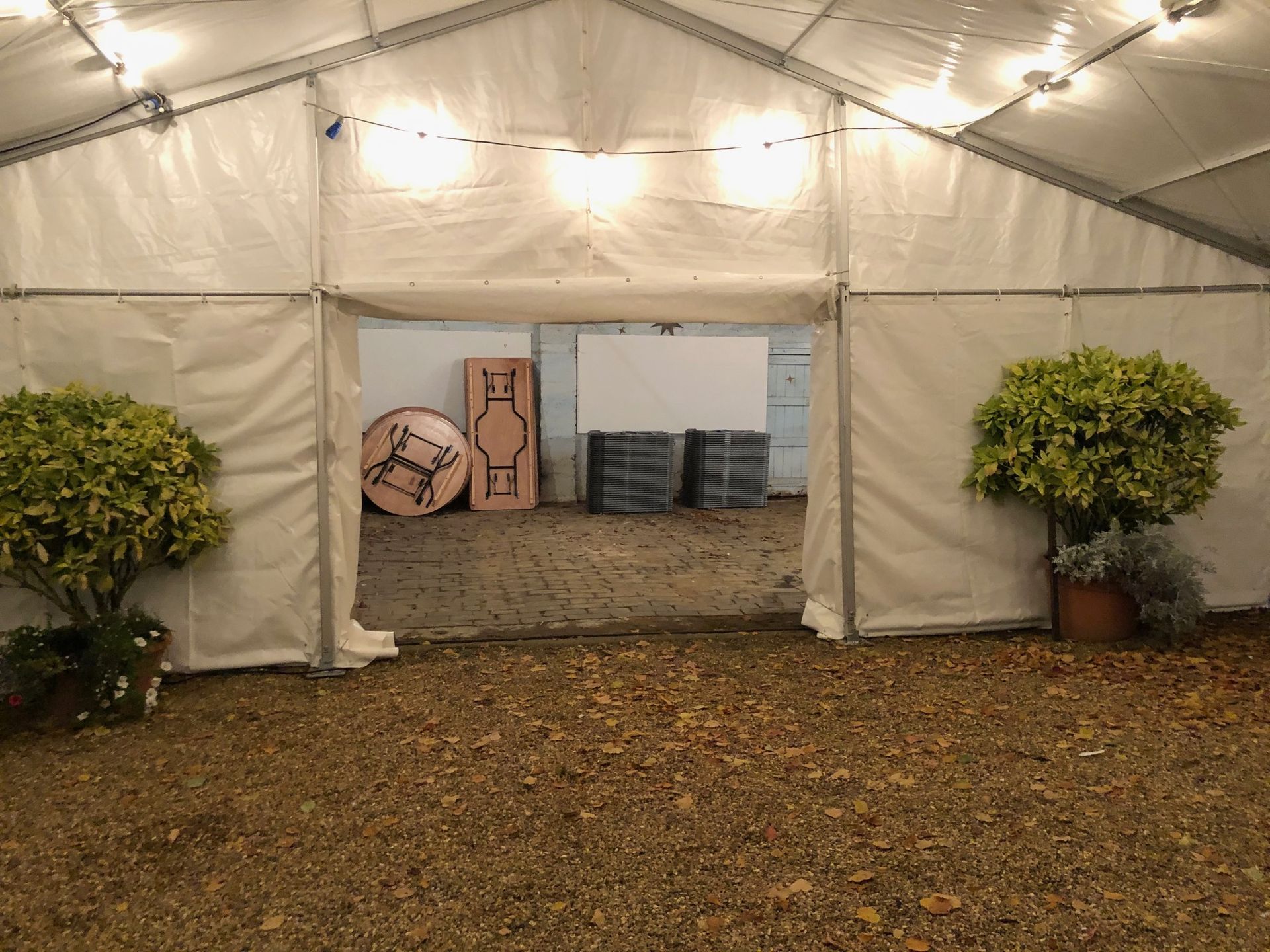A white tent with tables and plants inside of it
