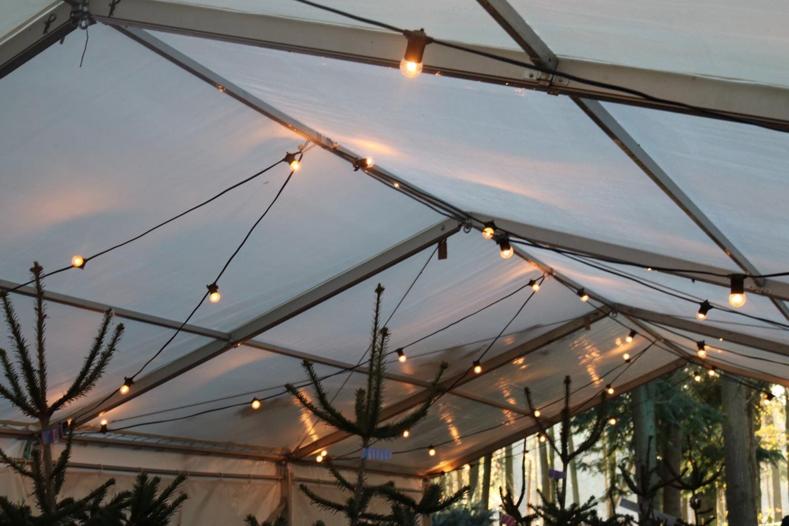 A clear tent with lights hanging from the ceiling