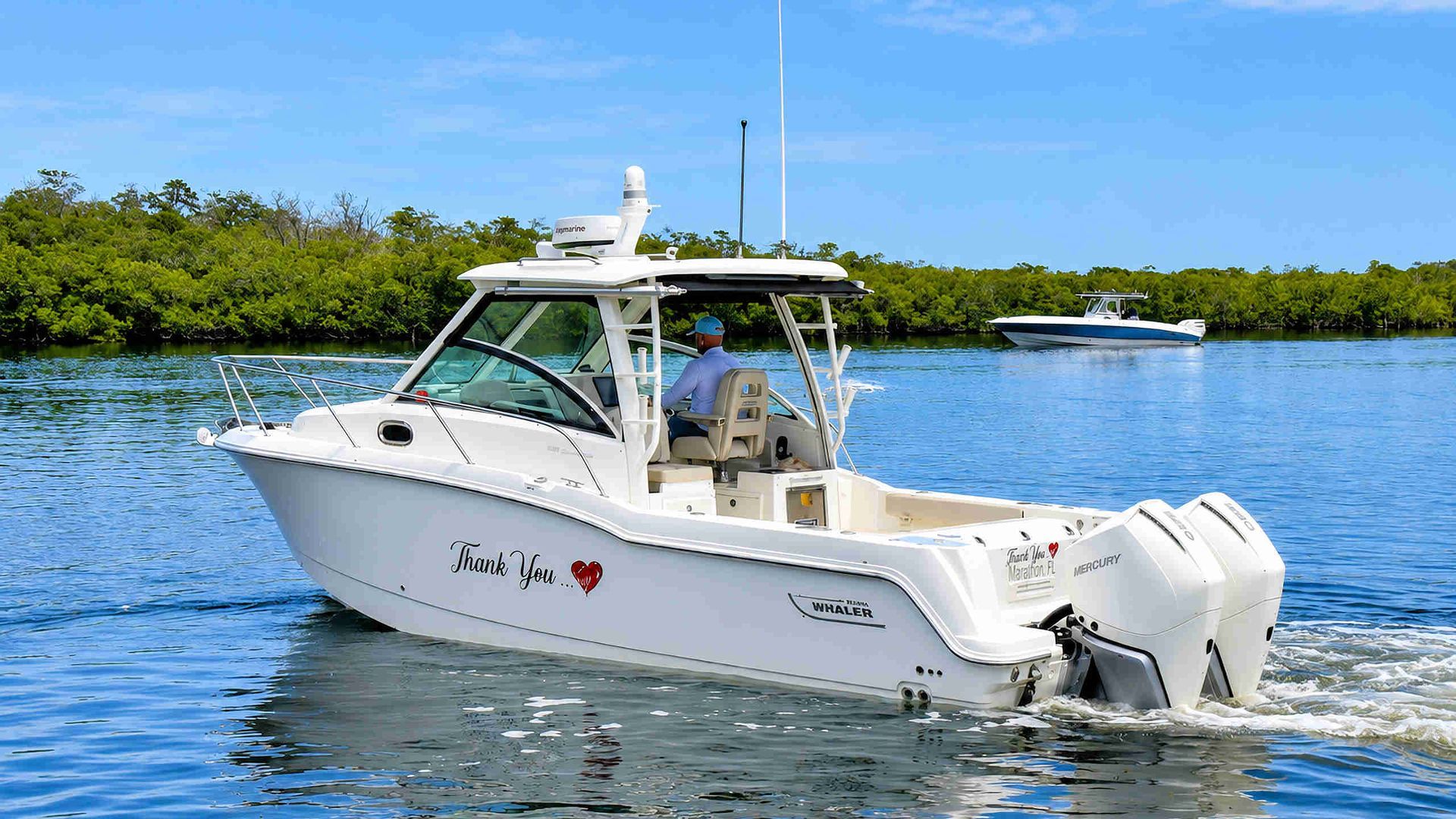 White cabin boat cruising on calm blue water near a green shoreline under a clear sky