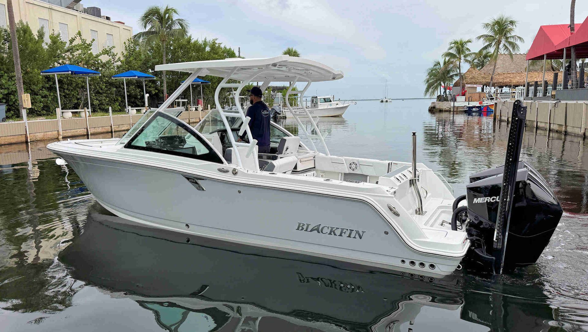 White motorboat docked in a calm marina beside palm trees and waterfront buildings