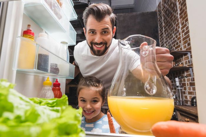 Refrigerator Repairs