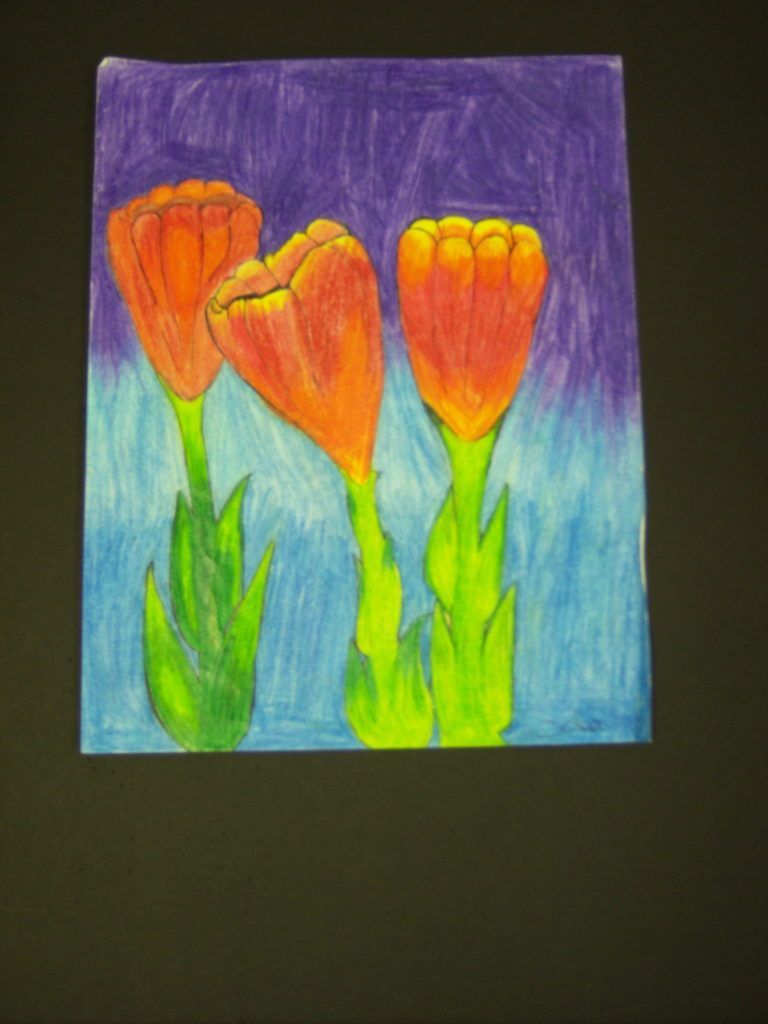 aubrie norfus flower art