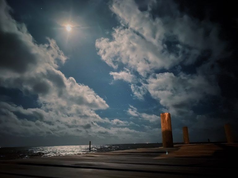 caroline mosley photograph