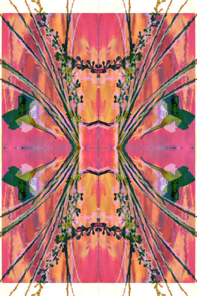 luminary no. 2 by ella broadhead photoshop