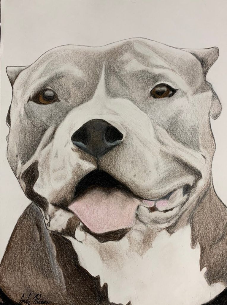 emily powers drawing