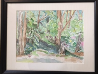 suzanne fox watercolor of forest
