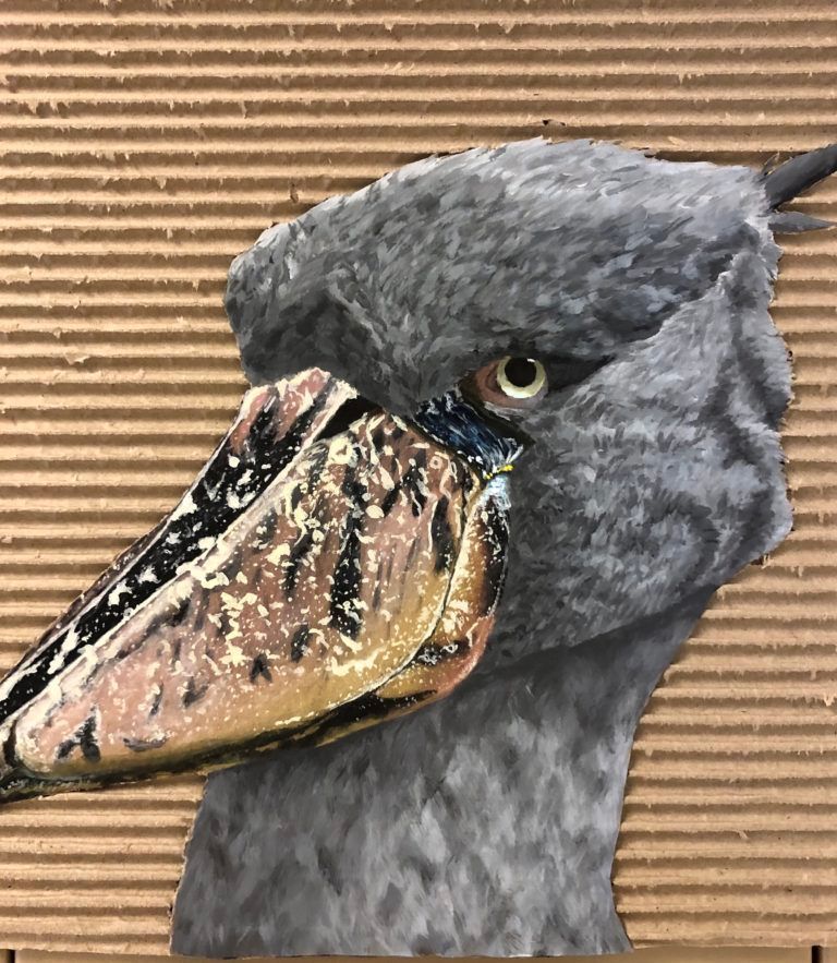 spoonbill stork art by sara wright