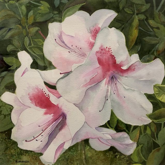 judy aronson watercolor