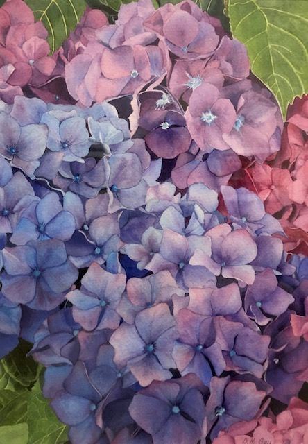 deborah lavender watercolor