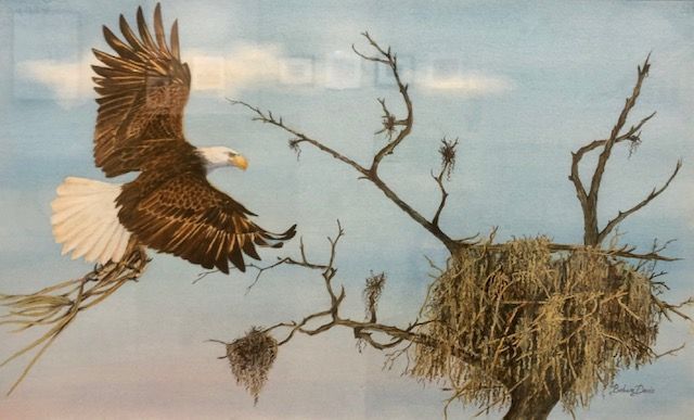 barbara davis watercolor eagle
