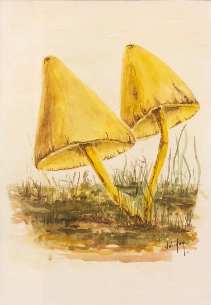 juli day watercolor mushrooms