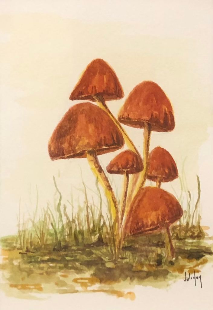 juli day watercolor mushrooms