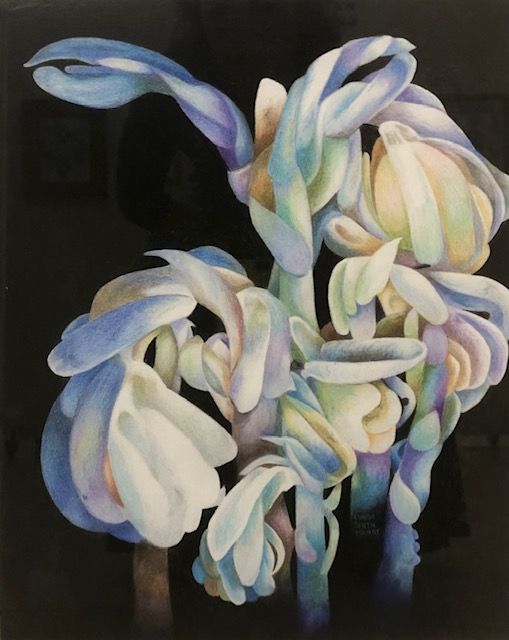 lynda smith touart color pencil