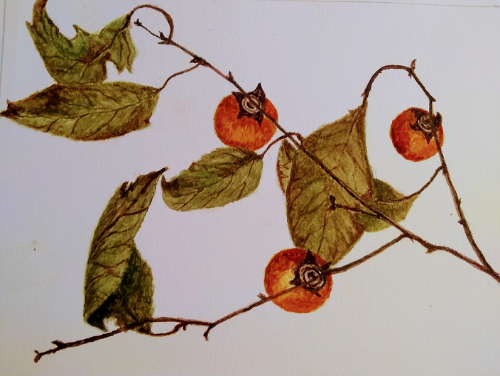 juli day watercolor