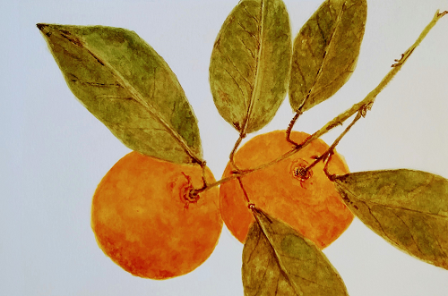 july day watercolor