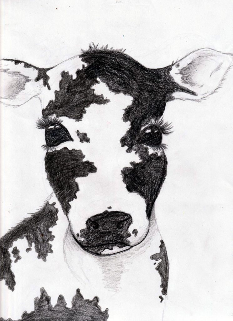 cow art