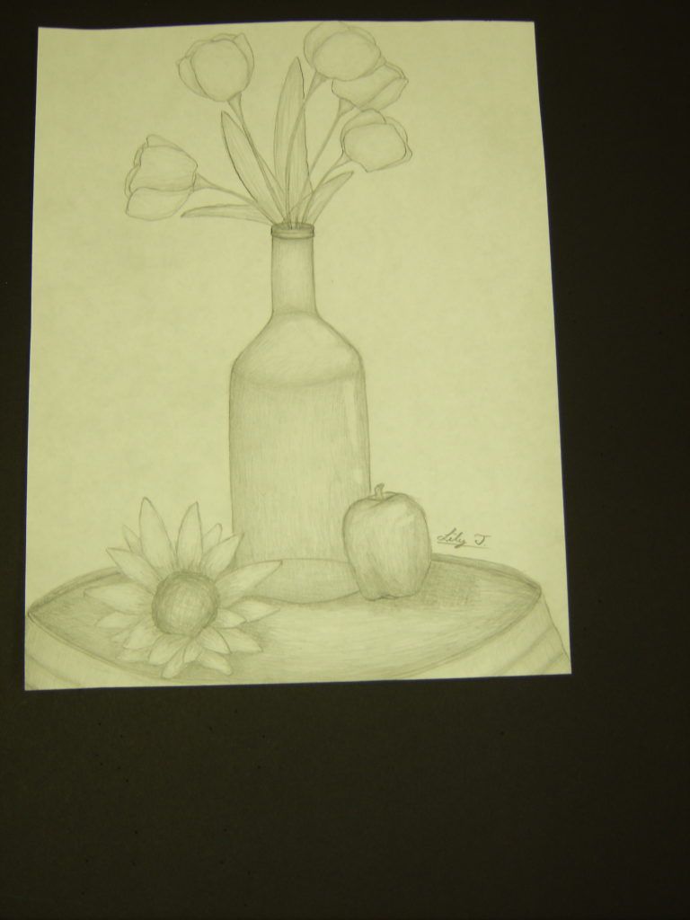 lily tran still life drawing