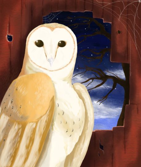 owl art