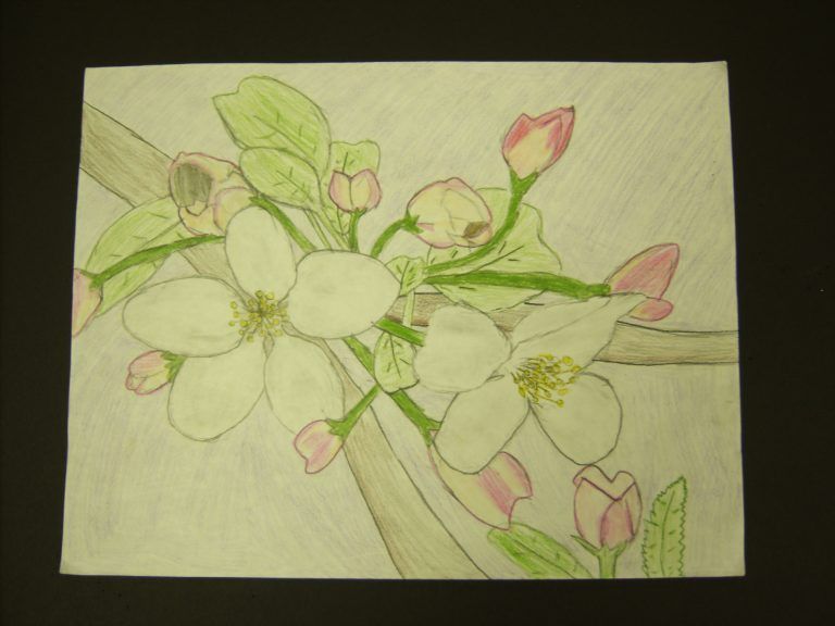 crab blossom flower art