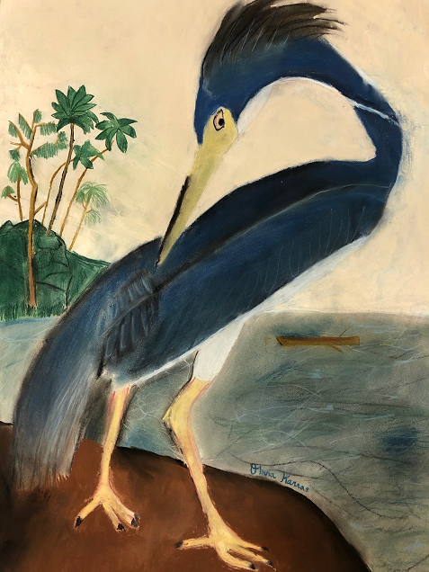 bird art