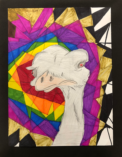 colorful cat art