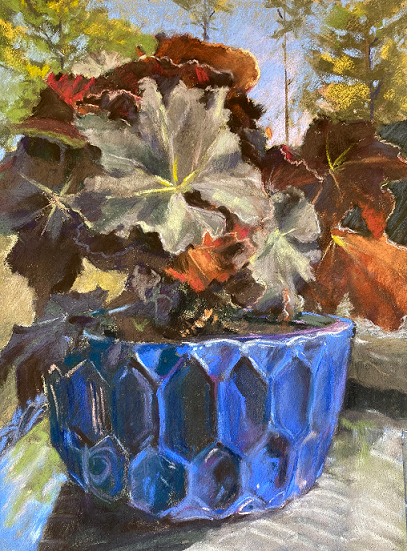 melissa root pastel drawing
