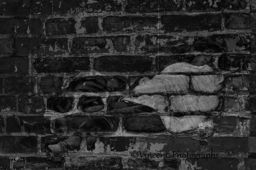 brick photo