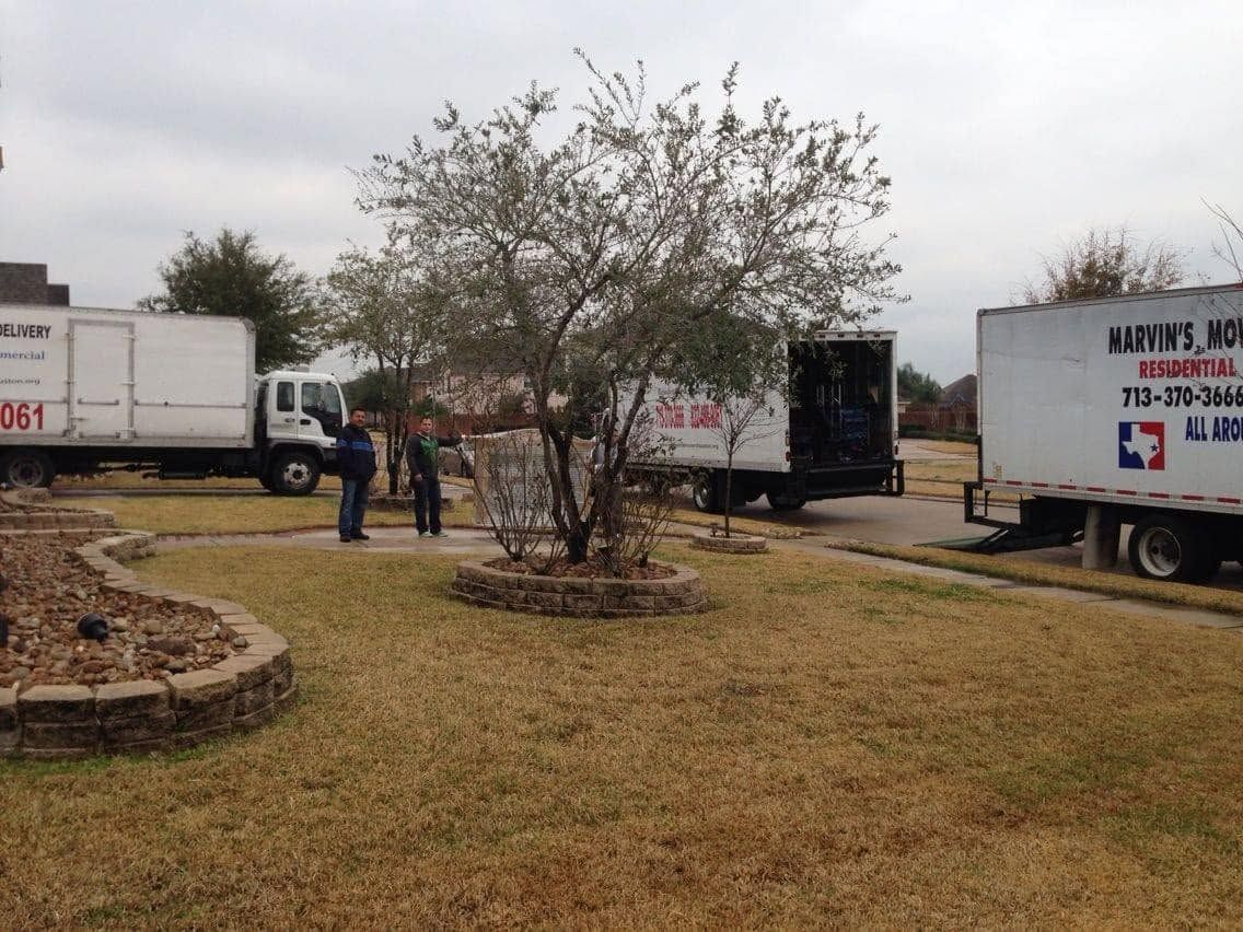 Workers near moving trucks in a yard beside a grassy lot and small trees