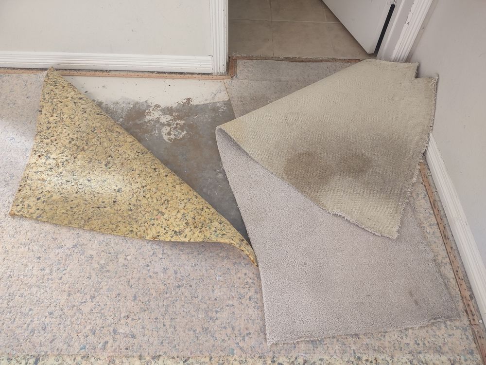 A piece of yellow speckled vinyl flooring is peeled back to reveal a gray subfloor and beige carpet in a corner.