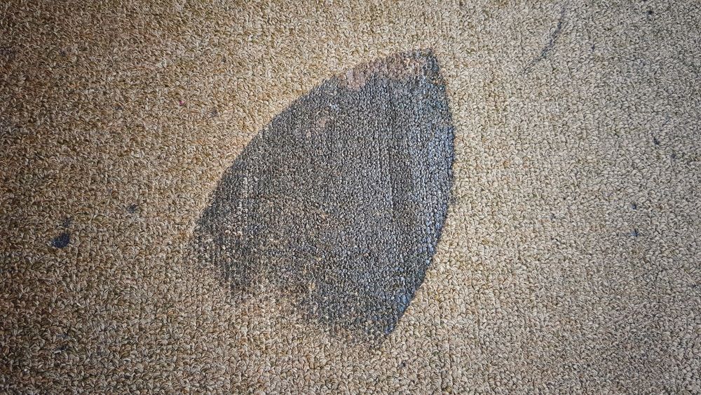 A dark, leaf-shaped shadow cast upon a light brown, grainy surface.