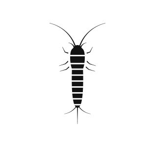a black and white silhouette of a silverfish on a white background
