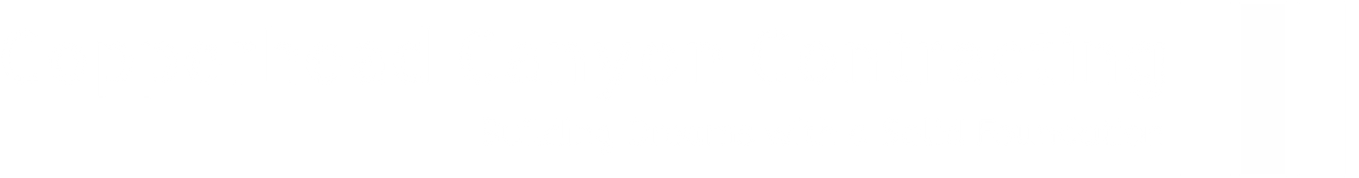 A white background with a few lines on it
