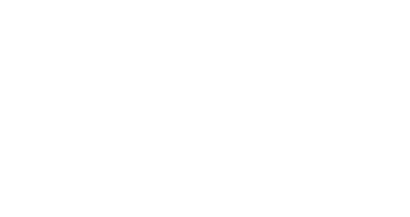 Private Jet Lifestyle