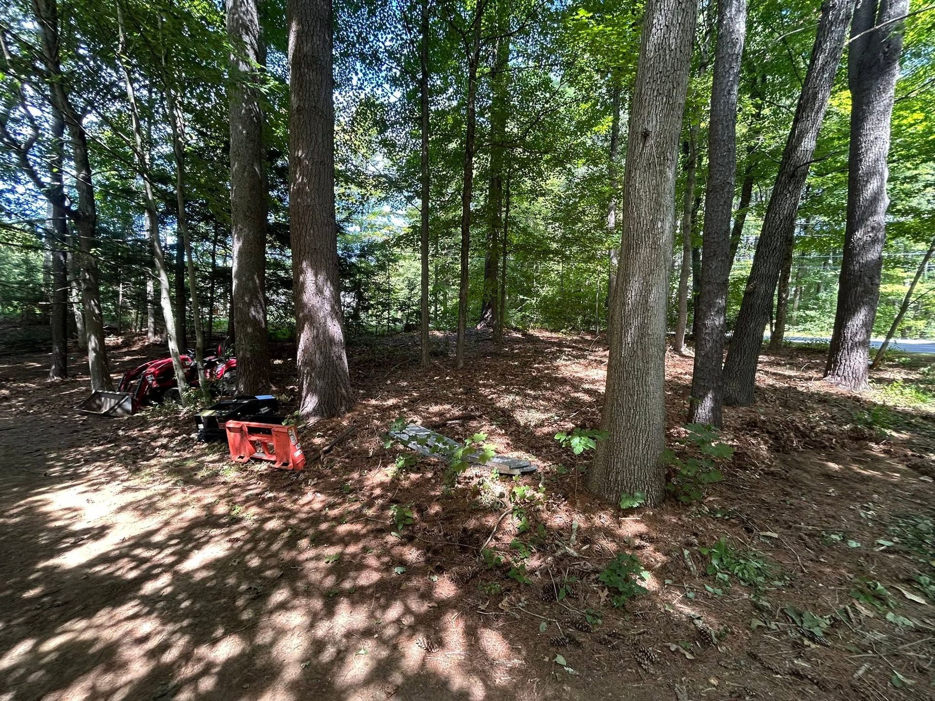 Wooded trail with sunlight, trees, and red camping chairs in a clearing