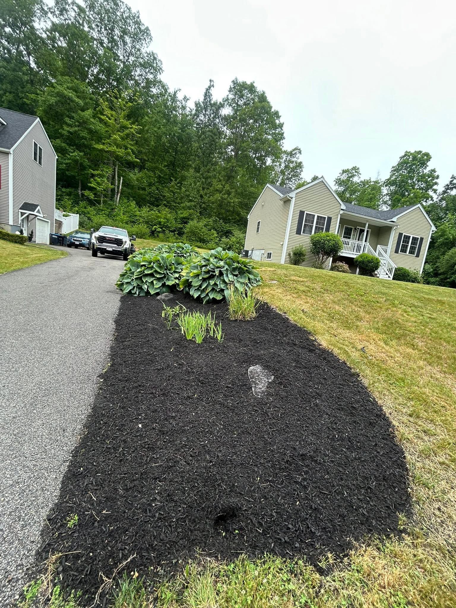 Mulched landscape bed with green shrubs beside a townhouse driveway and parked cars