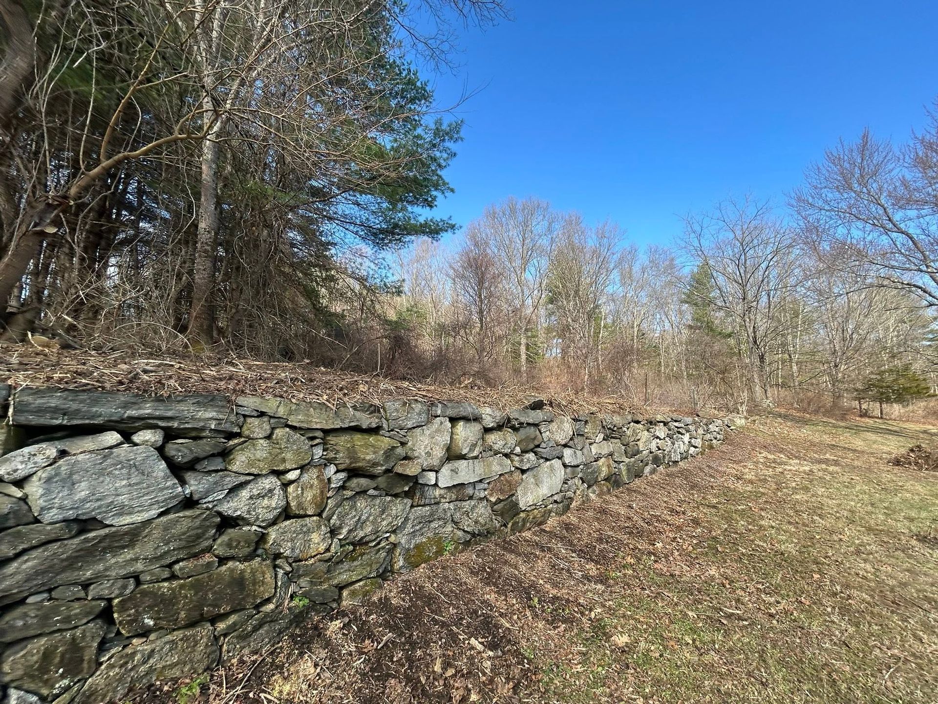 Stone retaining wall along a leaf-strewn wooded path under a clear blue sky