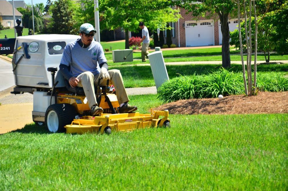 Worker mowing a green lawn with a riding mower in a suburban yard