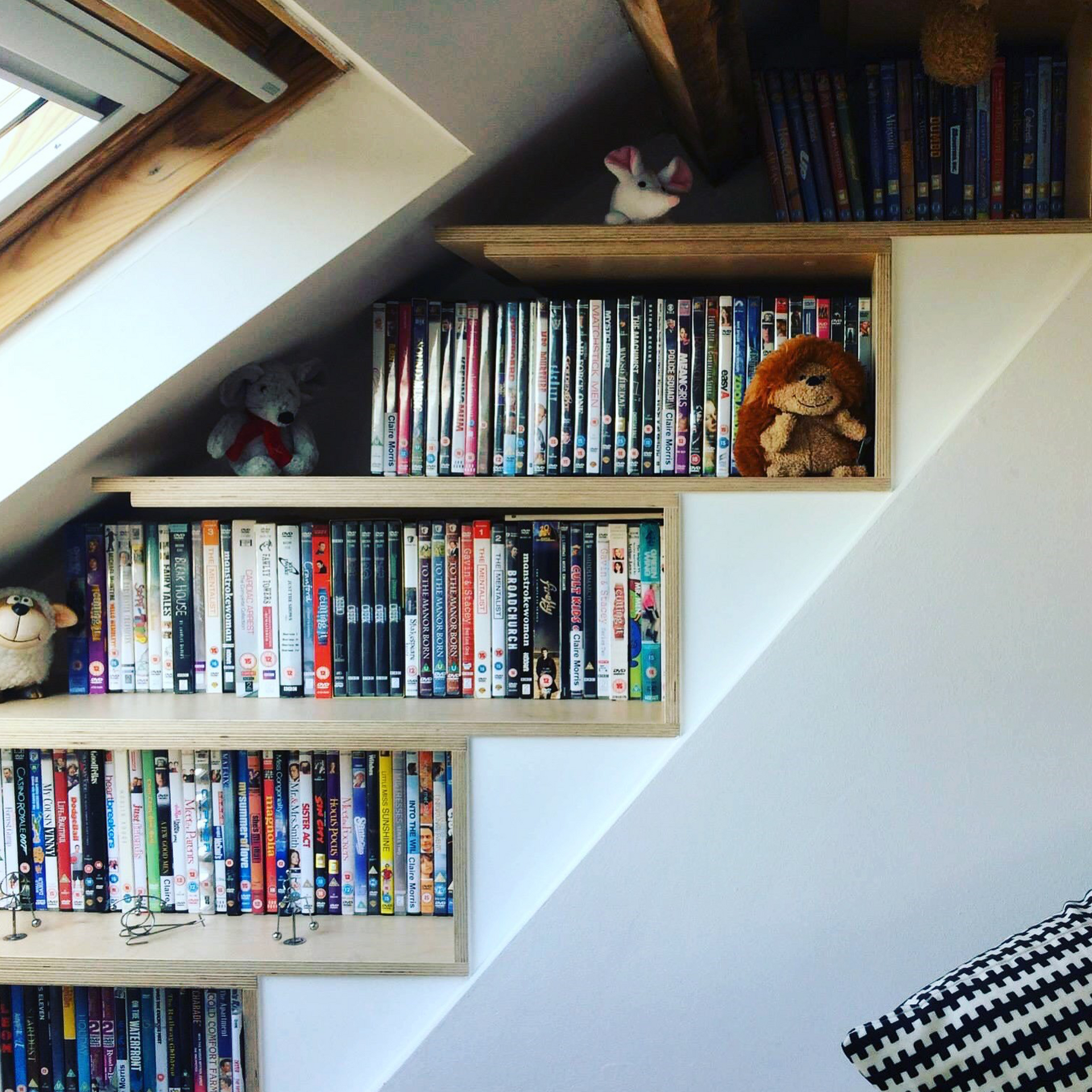 Attic & Office - Eaves ply bookshelving
