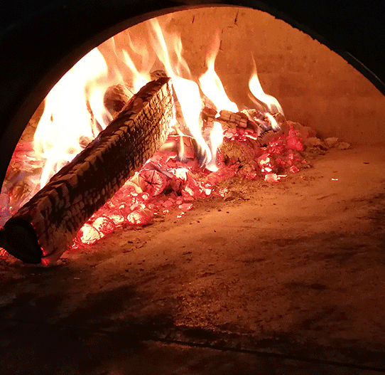 pulizia canne fumarie pizzeria