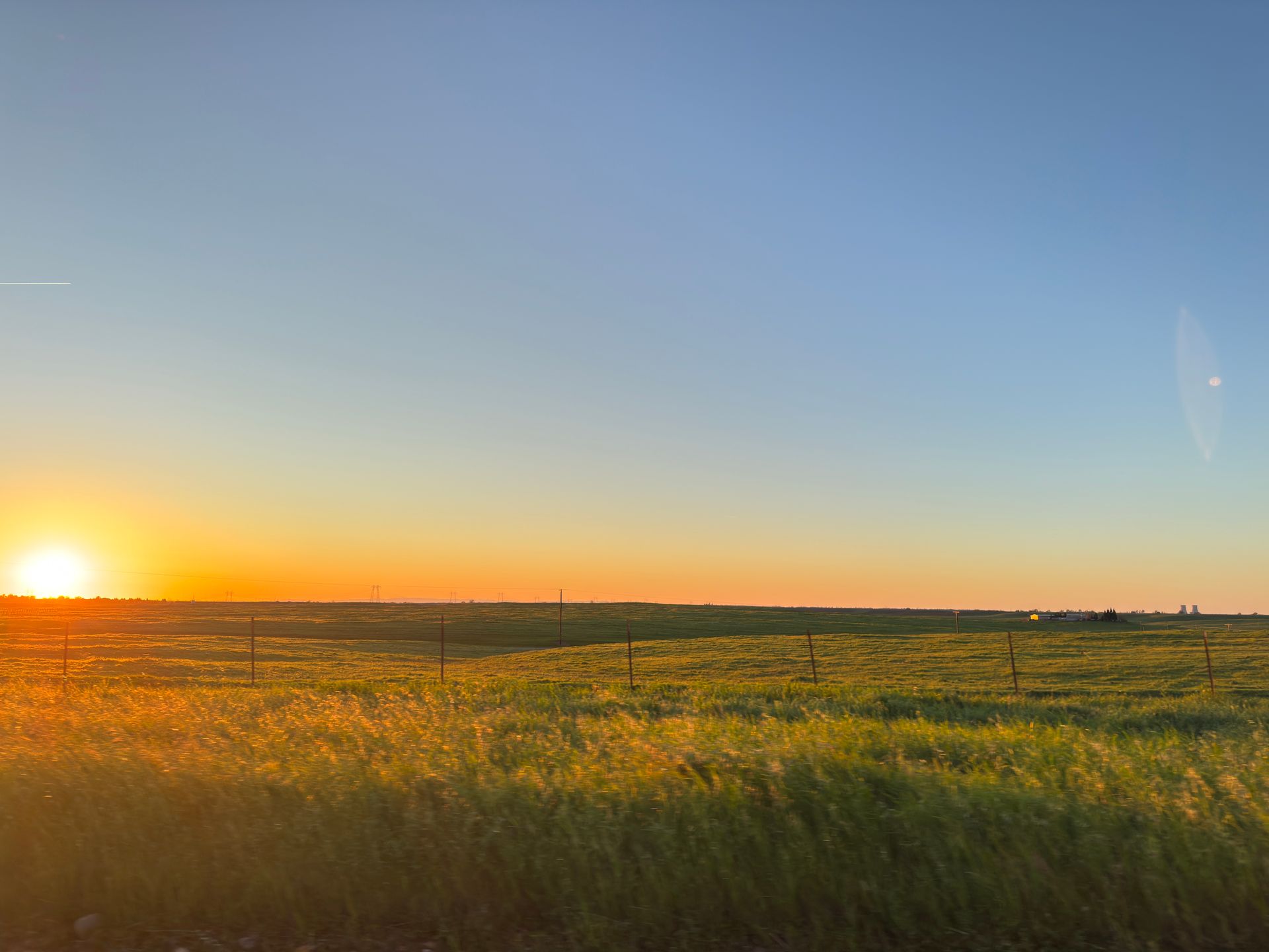 Sunset over a grassy field with a clear blue sky and golden light