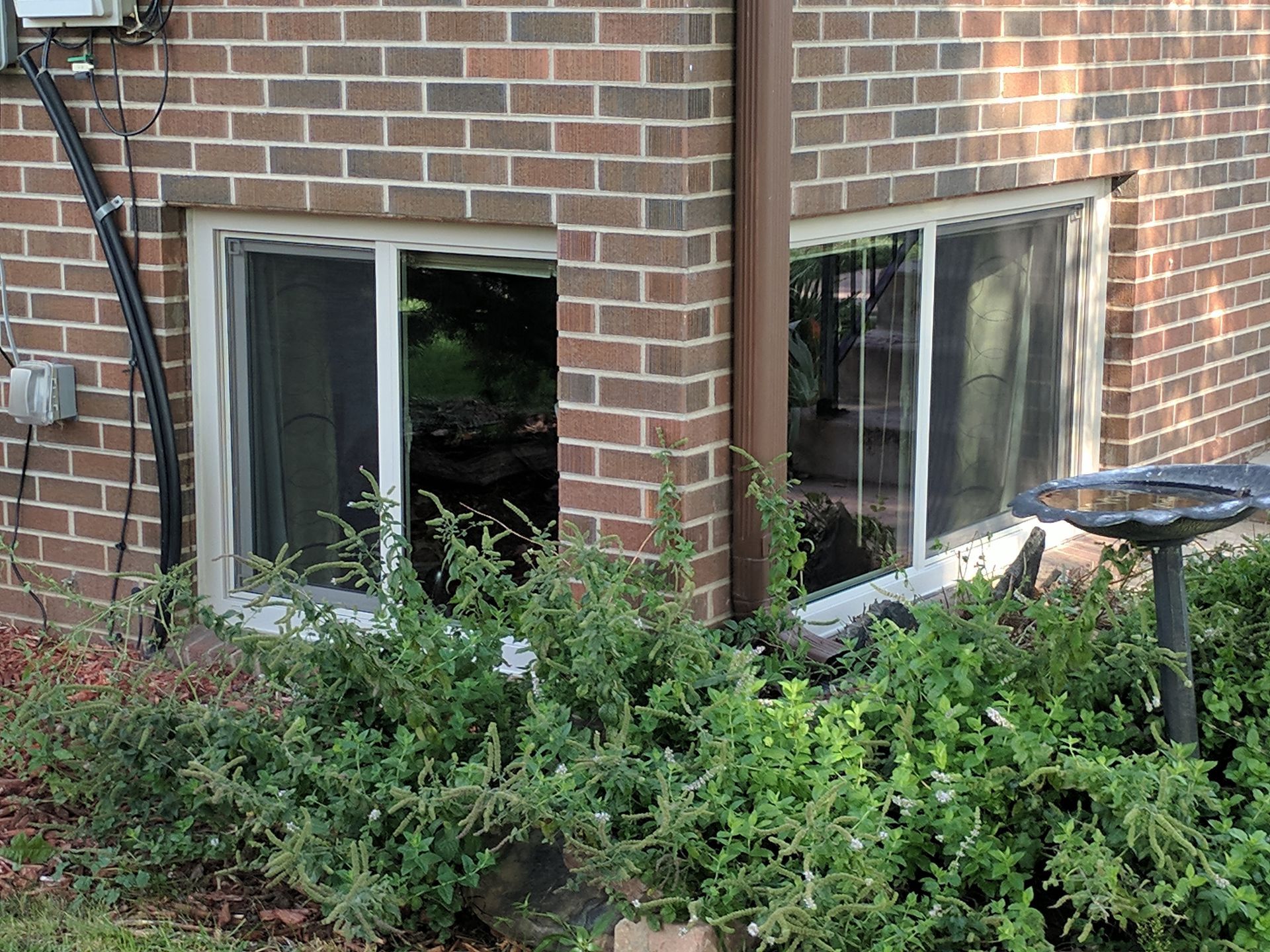 Brick house basement windows partly obscured by overgrown shrubs and a birdbath nearby