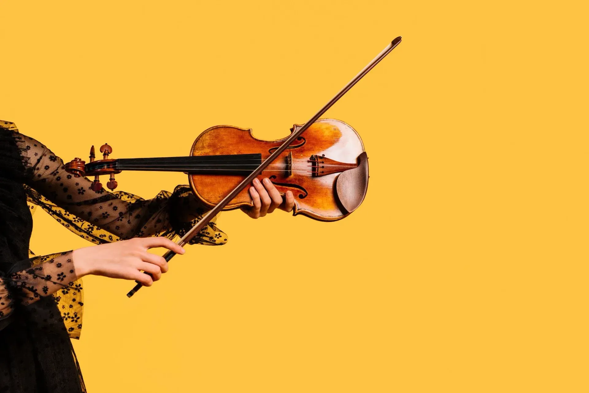 VIOLINO