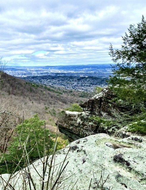 Mountain View, TN