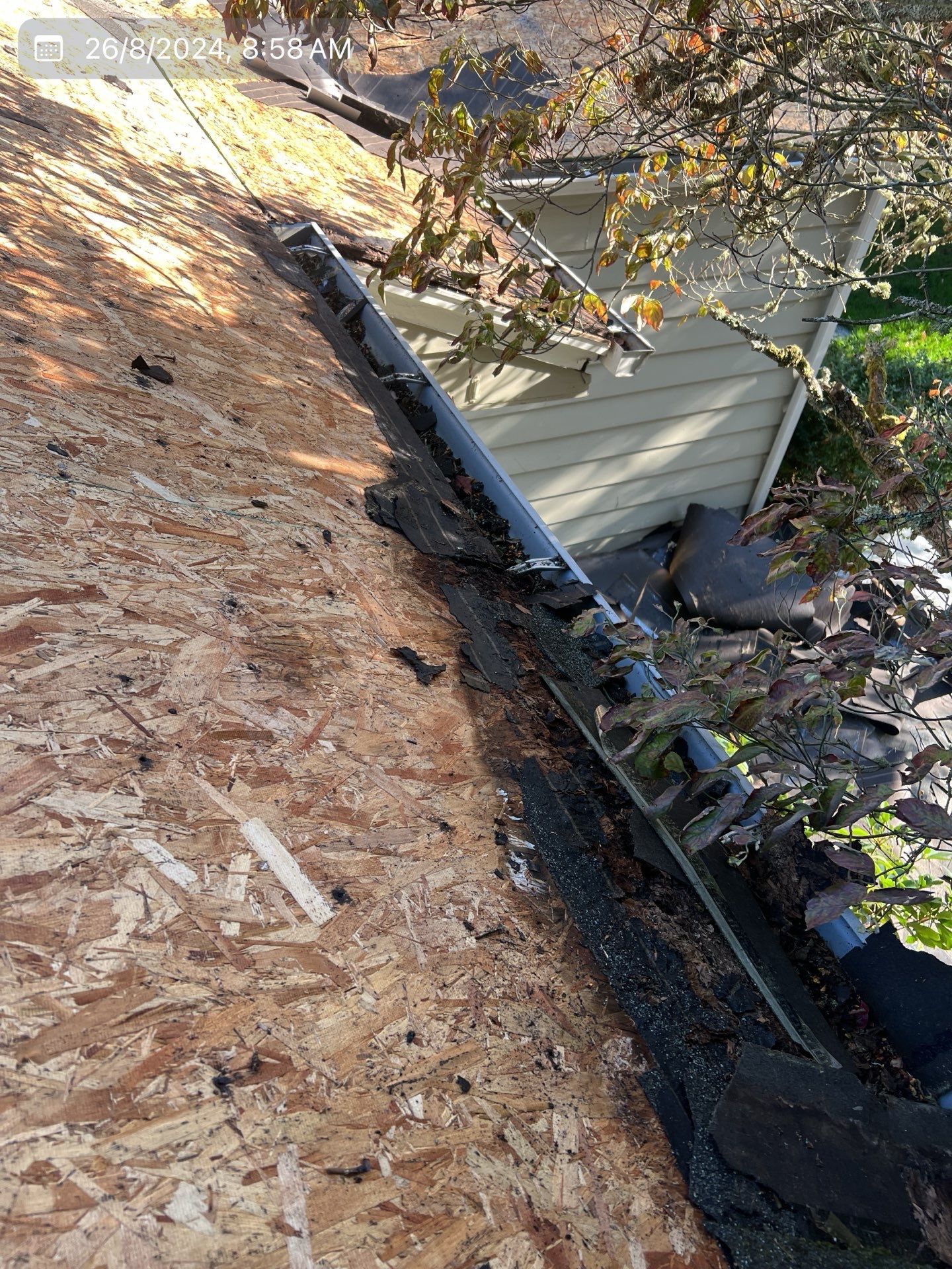 Roof with gutter, damaged shingles, and exposed wood.
