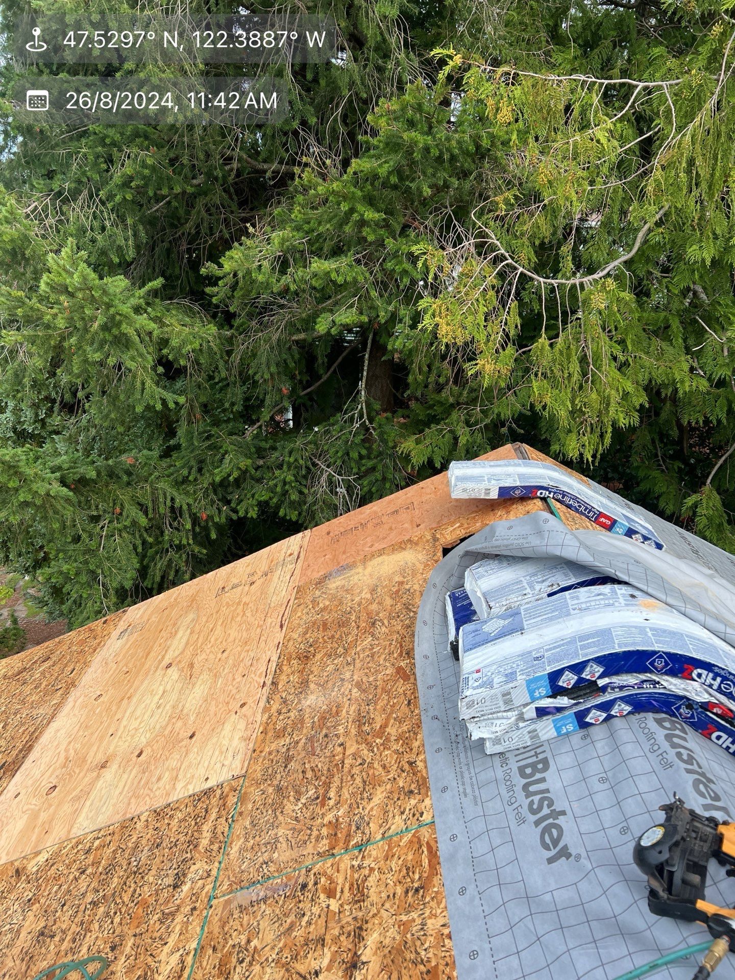 Rooftop under construction, plywood covered in protective membrane, trees in background, bright daylight.